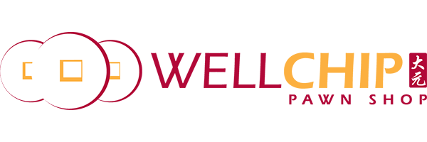 logo-wellchip